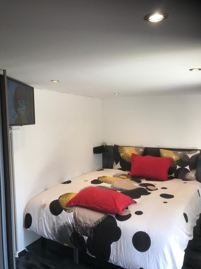 Majolaine Stade Daire Meyzieu Dış mekan fotoğraf